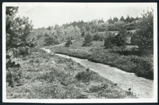 17741 Gezicht op een pad over de heide in de omgeving van Doorn.